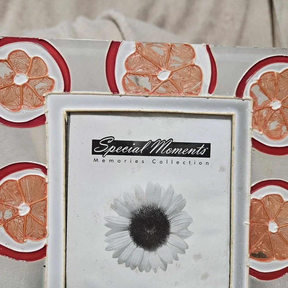 Tradewind Bay Glass Citrus Frame
